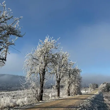 アパート Ferienwohnung Bleicherode Bleicherode