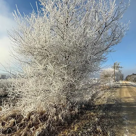 アパート Ferienwohnung Bleicherode *