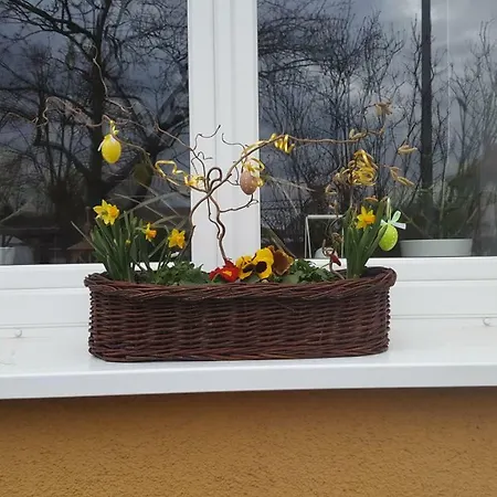 Appartement Ferienwohnung Bleicherode *