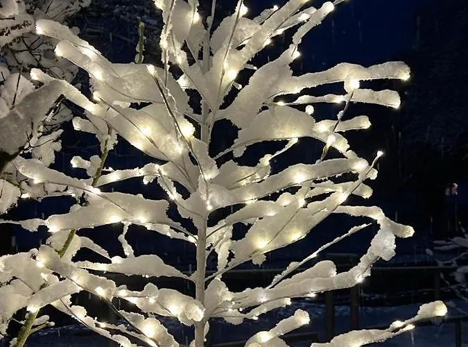 アパート Ferienwohnung Bleicherode Bleicherode