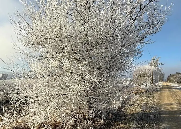 アパート Ferienwohnung Bleicherode *