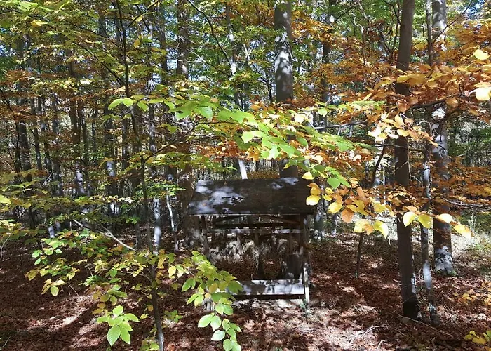 アパート Ferienwohnung Bleicherode